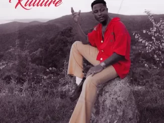 Kelvyn Boy – For the Kulture