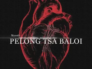 Maredi Maredi – Pelong tsa Baloi