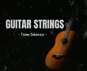 Team Sebenza – Guitar Strings