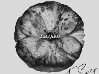 Tsu Surf – Disparu