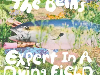 The Beths – Expert In a Dying Field (Deluxe)