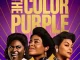 Danielle Brooks & Megan Thee Stallion - Hell No! (Timbaland Remix) [From the Original Motion Picture “The Color Purple”]