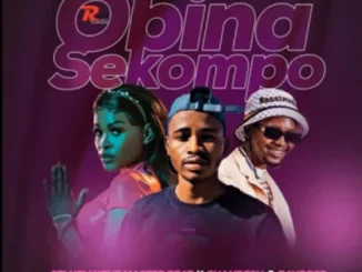 Nelly The MasterBeat - O Bina Sekompo ft Shandesh & Bayor97