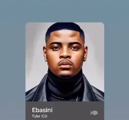 Tyler ICU - Ebasini Ft LeeMckrazy, Tmanxpress, Tumelo.za, ceeka rsa, AI xapo, visca, sjavasdadeeja