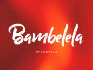 Macfowlen, DJ Stokie & Ntokzin – Bambelela (Nyamezela) ft TBO, Moscow On Keys & Rams Da Violinist