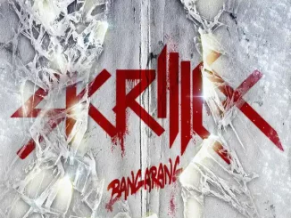 SKRILLEX - BANGARANG