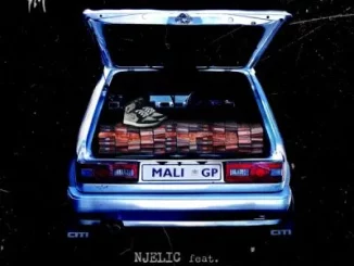 Njelic – Imali ft Luunineleven, Rhythm Tee & Mkey