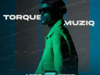 TorQue MuziQ - Afro 3 Step Friday Mix