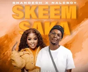 Shandesh & NaleBoy Young King – Skeem Saka ft. Hitler SA