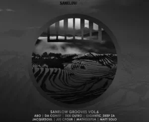 Album: VA - Sanelow Grooves, Vol. 6