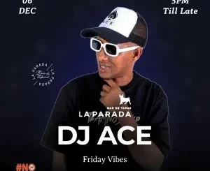 DJ Ace – Amapiano Mix (06 December)