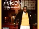 Akon - Sorry, Blame It On Me