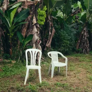 DeBÍ TiRAR MáS FOToS

Bad Bunny