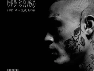 Lil Skies - Nowadays (feat. Landon Cube)