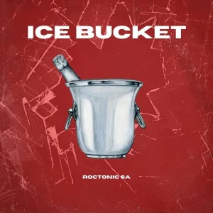 Roctonic SA – Ice Bucket