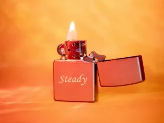 Shekhinah - Steady