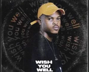 Ep: ZIDDO - WISH YOU WELL